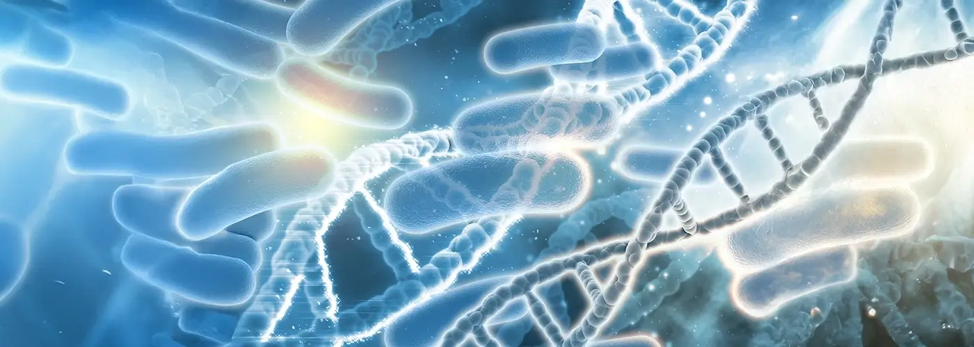 E. coli Infection Escherichia coli is a gram-negative, facultative anaerobic, rod-shaped, coliform bacteria
